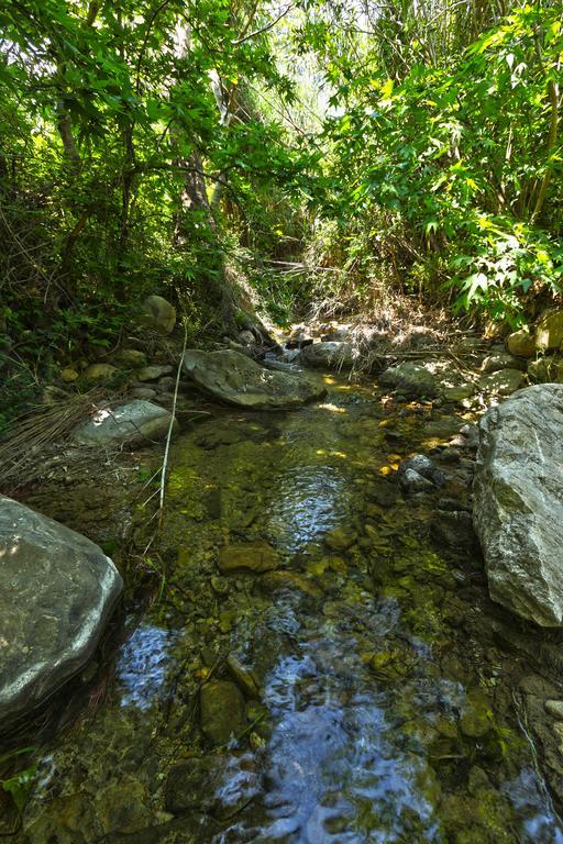 Апарт отель Aspros Potamos Макригиалос Экстерьер фото