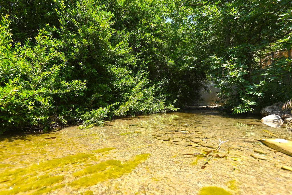 Апарт отель Aspros Potamos Макригиалос Экстерьер фото